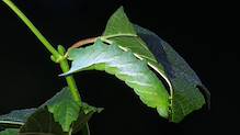 2020 07 24_pcb_9771_modifié-1.jpg